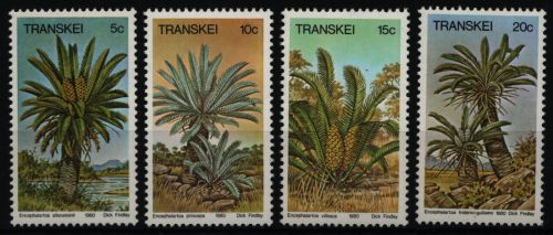 Transkei 1980 - Mi-Nr. 71-74 ** - MNH - Palmfarne