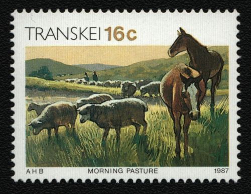 Transkei 1987 - Mi-Nr. 201 ** - MNH - Bauernhoftiere / Farm animals