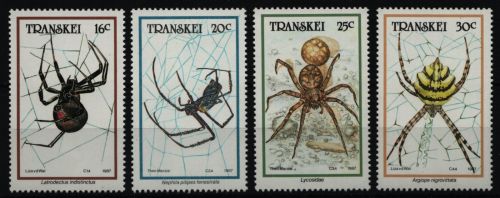 Transkei 1987 - Mi-Nr. 206-209 ** - MNH - Spinnen / Spiders
