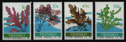 Transkei 1988 - Mi-Nr. 214-217 ** - MNH - Meeresalgen