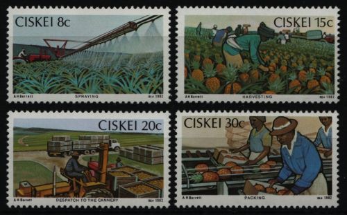 Ciskei 1981 - Mi-Nr. 26-29 ** - MNH - Ananasanbau