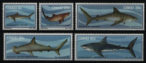 Ciskei 1983 - Mi-Nr. 38-42 ** - MNH - Haie / Sharks