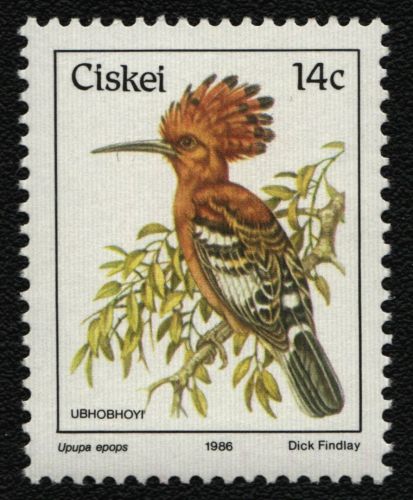 Ciskei 1986 - Mi-Nr. 97 ** - MNH - Vögel / Birds