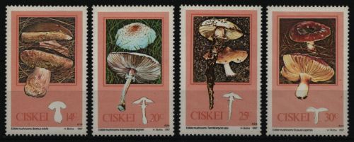 Ciskei 1987 - Mi-Nr. 110-113 ** - MNH - Pilze / Mushrooms