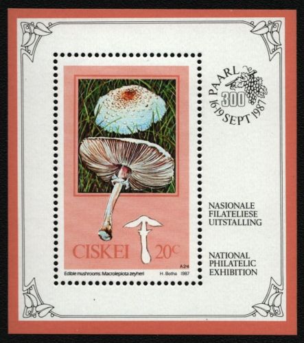 Ciskei 1987 - Mi-Nr. Block 2 ** - MNH - Pilze / Mushrooms