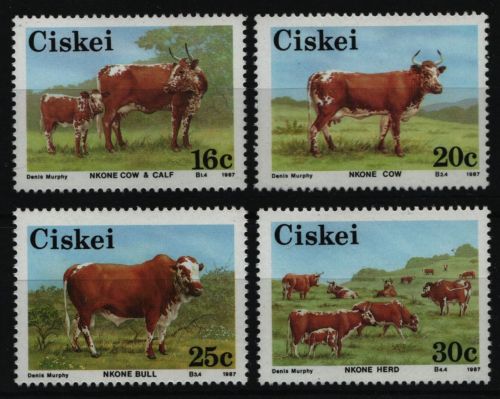 Ciskei 1987 - Mi-Nr. 115-118 ** - MNH - Rinder / Cattles