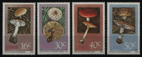 Ciskei 1988 - Mi-Nr. 145-148 ** - MNH - Pilze / Mushrooms