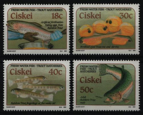 Ciskei 1989 - Mi-Nr. 153-156 ** - MNH - Fische / Fish
