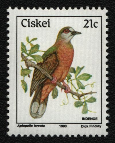Ciskei 1990 - Mi-Nr. 174 ** - MNH - Vögel / Birds