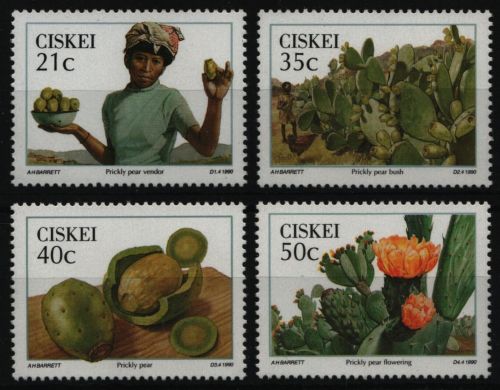 Ciskei 1990 - Mi-Nr. 179-182 ** - MNH - Wildfrüchte