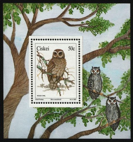 Ciskei 1991 - Mi-Nr. Block 6 ** - MNH - Eulen / Owls