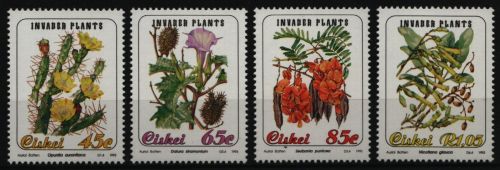 Ciskei 1993 - Mi-Nr. 242-245 ** - MNH - Pflanzen / Plants