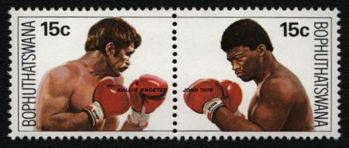 Bophuthatswana 1979 - Mi-Nr. 41-42 ** - MNH - Boxen