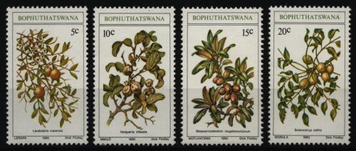 Bophuthatswana 1980 - Mi-Nr. 56-59 ** - MNH - Pflanzen / Plants