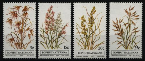 Bophuthatswana 1981 - Mi-Nr. 80-83 ** - MNH - Pflanzen / Plants