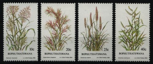 Bophuthatswana 1984 - Mi-Nr. 116-119 ** - MNH - Pflanzen / Plants