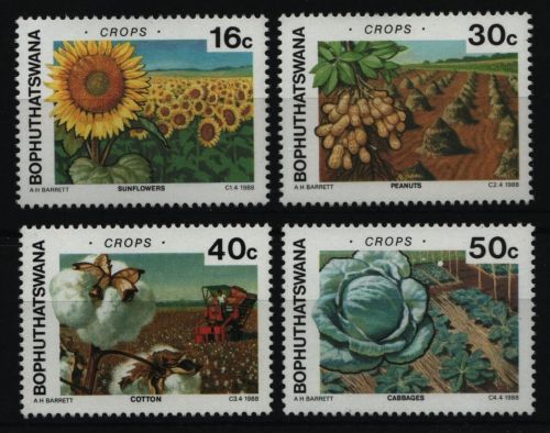 Bophuthatswana 1988 - Mi-Nr. 206-209 ** - MNH - Landwirtschaft / Agriculture