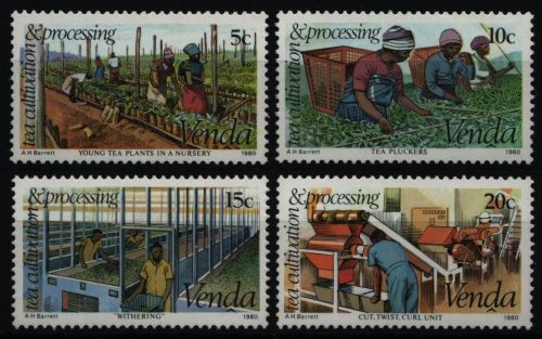 Venda 1980 - Mi-Nr. 26-29 ** - MNH - Teeanbau