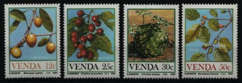 Venda 1985 - Mi-Nr. 112-115 ** - MNH - Früchte / Fruits