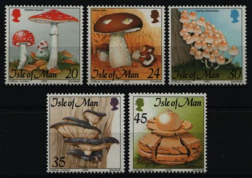 Isle of Man 1995 - Mi-Nr. 650-654 ** - MNH - Pilze / Mushrooms