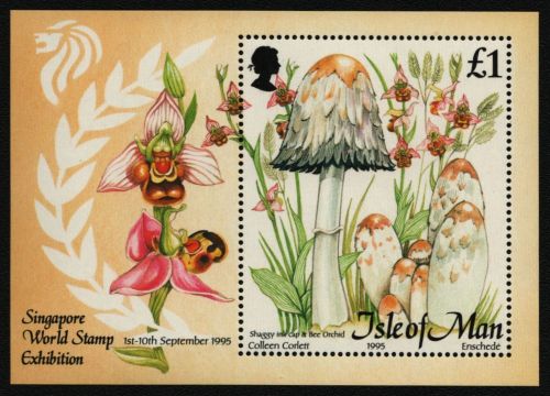 Isle of Man 1995 - Mi-Nr. Block 24 ** - MNH - Pilze / Mushrooms