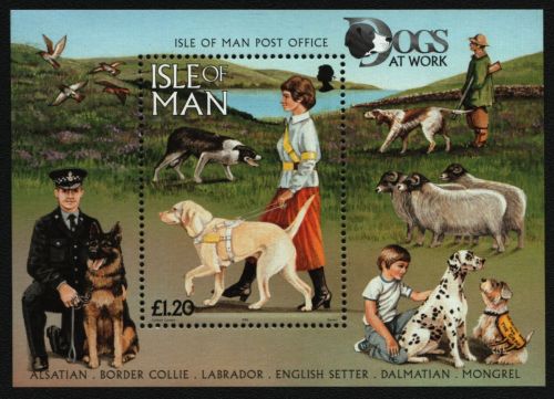 Isle of Man 1996 - Mi-Nr. Block 27 ** - MNH - Hunde / Dogs