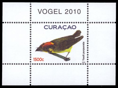 Curacao 2010 - Mi-Nr. Block 1 ** - MNH - Vögel / Birds