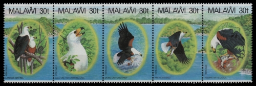 Malawi 1983 - Mi-Nr. 396-400 ** - MNH - gefaltet / folded - Vögel / Birds