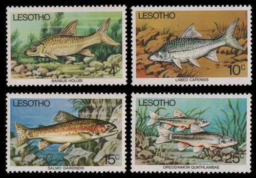 Lesotho 1977 - Mi-Nr. 237-240 ** - MNH - Fische / Fish