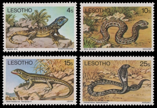 Lesotho 1979 - Mi-Nr. 270-273 ** - MNH - Reptilien / Reptiles