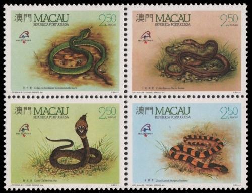 Macau 1989 - Mi-Nr. 620-623 ** - MNH - ZDR - Schlangen / Snakes