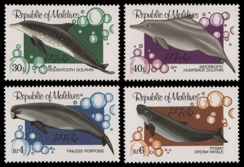 Malediven 1983 - Mi-Nr. 1013-1013 ** - MNH - Delphine / Dolphins