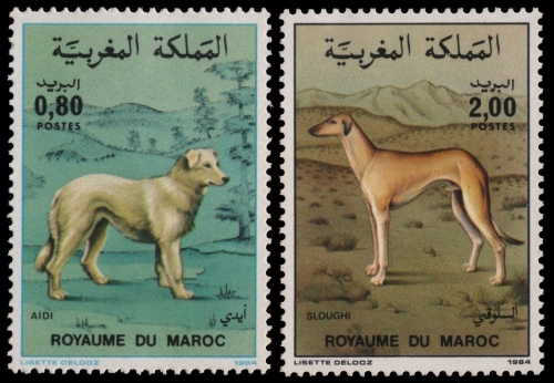 Marokko 1984 - Mi-Nr. 1061-1062 ** - MNH - Hunde / Dogs