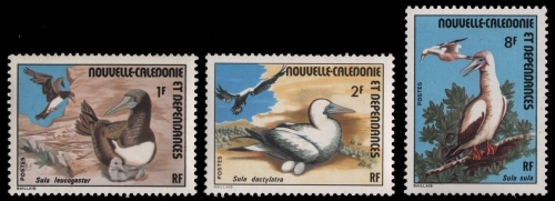 Neukaledonien 1976 - Mi-Nr. 573-575 ** - MNH - Vögel / Birds