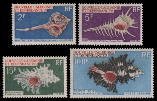 Neukaledonien 1969 - Mi-Nr. 469-472 ** - MNH - Meeresschnecken / Marine snails