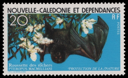 Neukaledonien 1978 - Mi-Nr. 612 ** - MNH - Flughund / Flying Fox