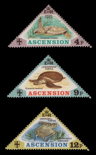 Ascension 1973 - Mi-Nr. 170-172 ** - MNH - Schildkröten / Turtles