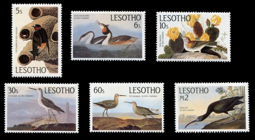 Lesotho 1985 - Mi-Nr. 525-530 ** - MNH - Vögel / Birds - Audubon