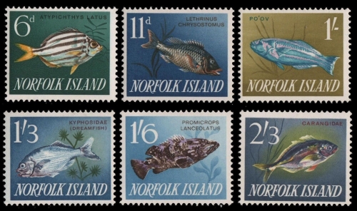 Norfolk-Insel 1962 - Mi-Nr. 45-50 ** - MNH - Fische / Fish