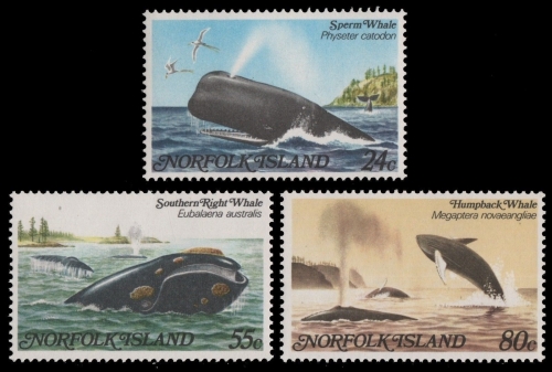 Norfolk-Insel 1982 - Mi-Nr. 286-288 ** - MNH - Wale / Whales