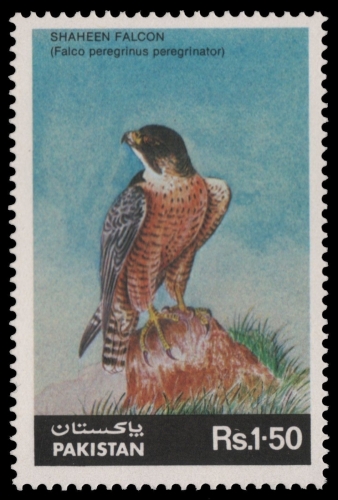 Pakistan 1986 - Mi-Nr. 670 ** - MNH - Vögel / Birds