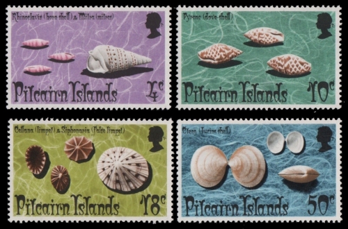 Pitcairn 1974 - Mi-Nr. 137-140 ** - MNH - Meeresschnecken / Marine snail