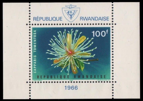 Ruanda 1966 - Mi-Nr. Block 6 A ** - MNH - Blumen / Flowers