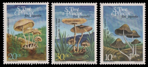 São Tomé & Príncipe 1984 - Mi-Nr. 937-939 ** - MNH - Pilze / Mushrooms