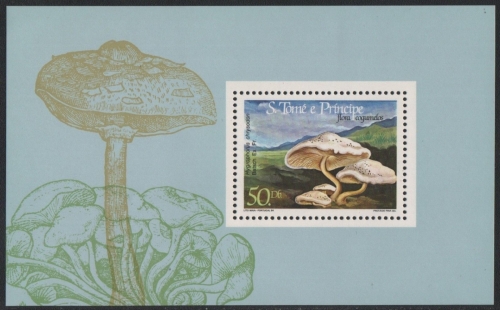 São Tomé & Príncipe 1984 - Mi-Nr. Block 161 ** - MNH - Pilze / Mushrooms
