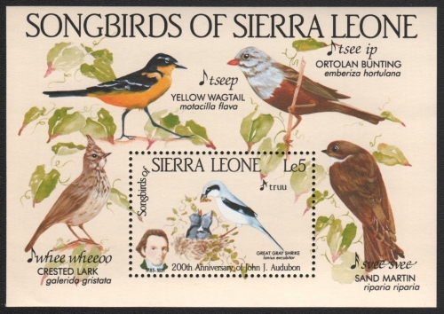 Sierra Leone 1985 - Mi-Nr. Block 27 ** - MNH - Vögel / Birds - Audubon