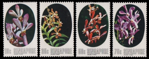 Singapur 1976 - Mi-Nr. 250-253 ** - MNH - Orchideen / Orchids
