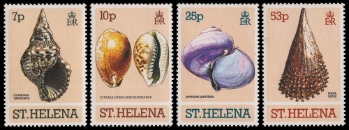 St. Helena 1981 - Mi-Nr. 345-348 ** - MNH - Meeresschnecken / Marine snails