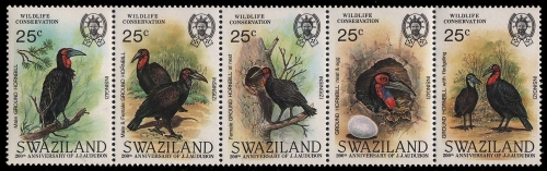 Swaziland 1985 - Mi-Nr. 480-484 ** - MNH - Vögel / Birds - Audubon