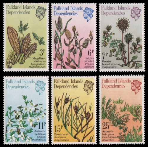 Süd-Georgien 1981 - Mi-Nr. 93-98 ** - MNH - Pflanzen / Plants